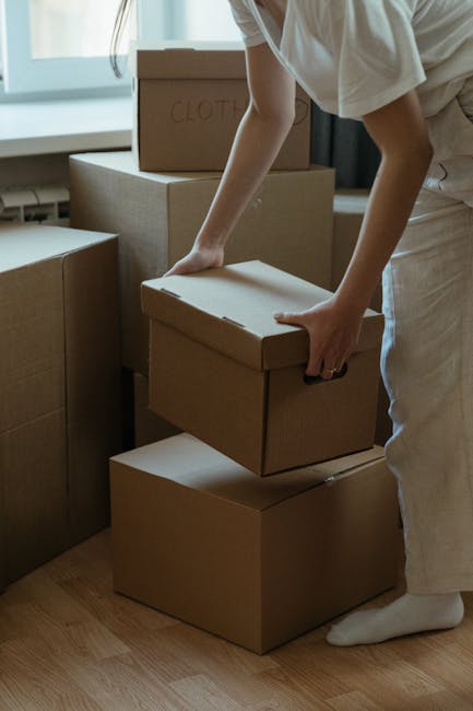 A young woman with curly black hair is sitting on a wooden floor in a room filled with numerous cardboard moving boxes of various sizes, some sealed with red tape and others partially opened. The boxes are stacked against a textured, light blue wall, creating a cluttered environment associated with home relocation. The woman is smiling, resting her chin on her crossed arms placed on a medium-sized box, and wearing casual clothing including a light-colored top and jeans with white sneakers. This scene depicts packing and moving activities typical of furniture transport and house removals, with the boxes arranged systematically indicating an organized packing process by Catford Movers for a relocation near Mountsfield Park. Visible in the room are the cardboard boxes, some with labels, and the natural lighting highlights the orderly yet busy atmosphere of preparing for a house move.